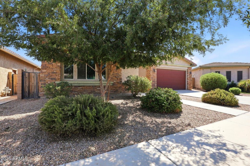 23515 S 231ST Way, Queen Creek, AZ 85142 — photo 3