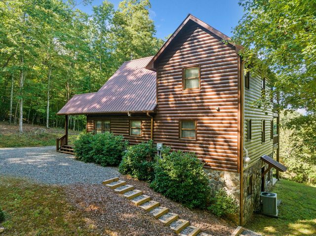 64 Grice Woods Road, Blue Ridge, GA 30513