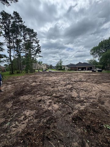 11 Westlyn Ct, Montgomery, TX 77356