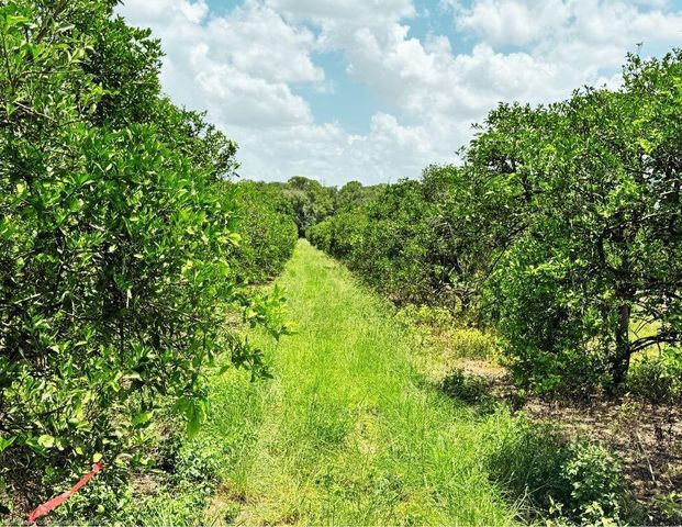115 Heinley Road, Lake Placid, FL 33852