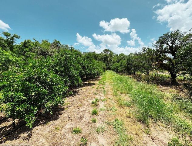 115 Heinley Road, Lake Placid, FL 33852