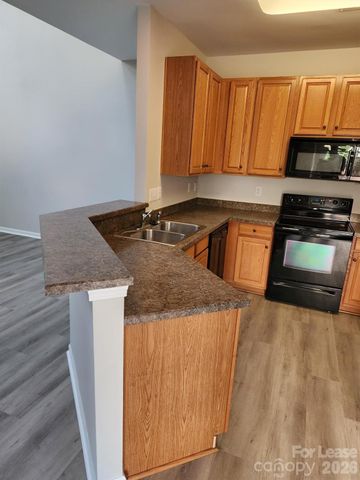 10454 Trolley Run Drive, Cornelius, NC 28031