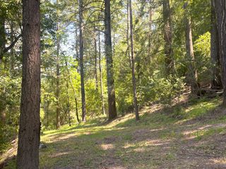 19179 Skyline Boulevard, Los Gatos, CA 95033