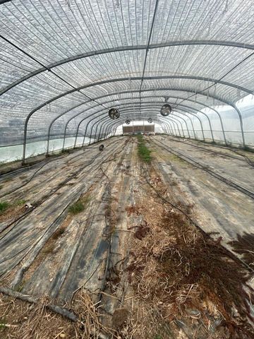 2037 Fm 2761, Alleyton, TX 78935