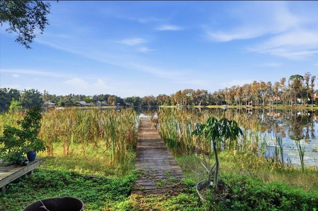 17018 CRAWLEY ROAD, Odessa, FL 33556