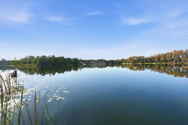 17018 CRAWLEY ROAD, Odessa, FL 33556