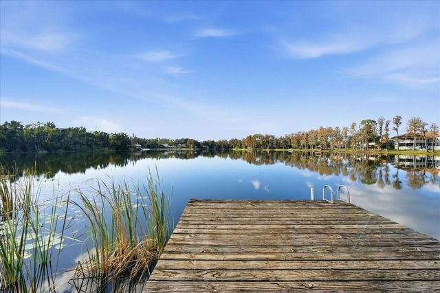 17018 CRAWLEY ROAD, Odessa, FL 33556