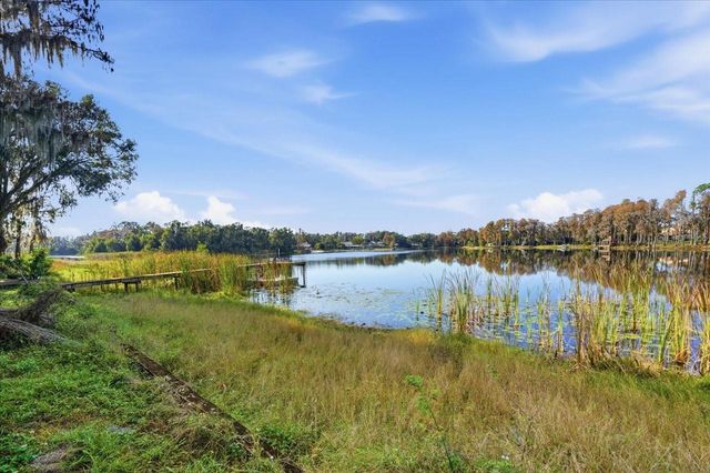 17018 CRAWLEY ROAD, Odessa, FL 33556