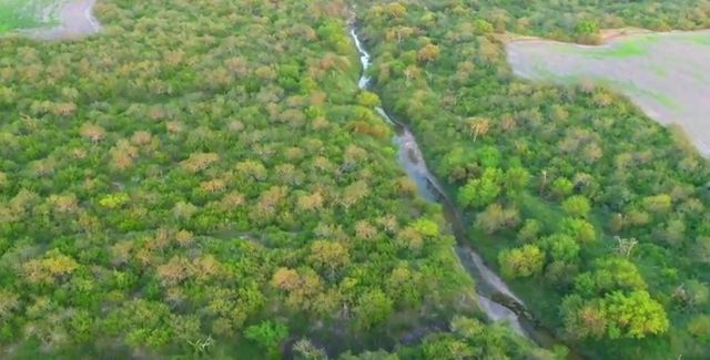 0 CR 20, Robstown, TX 78380