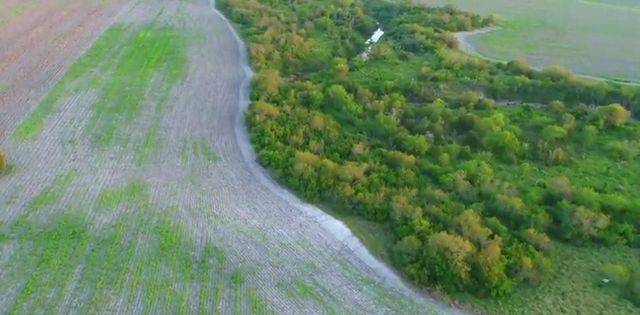 0 CR 20, Robstown, TX 78380