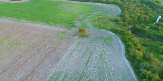 0 CR 20, Robstown, TX 78380