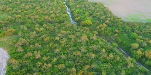 0 CR 20, Robstown, TX 78380