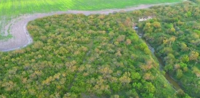 0 CR 20, Robstown, TX 78380