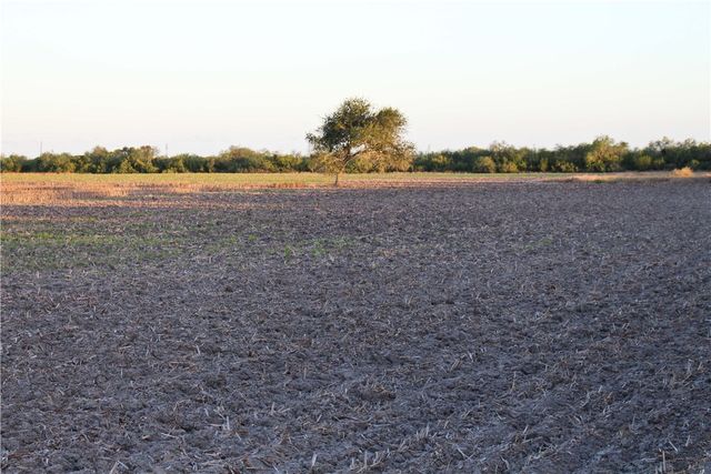 0 CR 20, Robstown, TX 78380