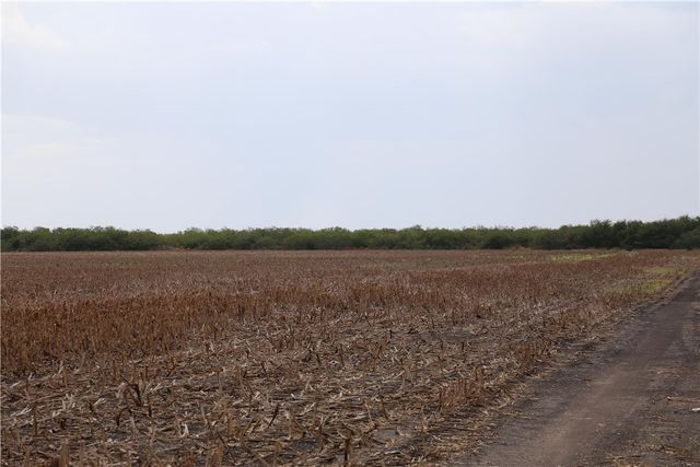 0 CR 20, Robstown, TX 78380