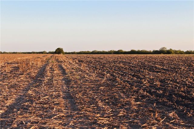 0 CR 20, Robstown, TX 78380