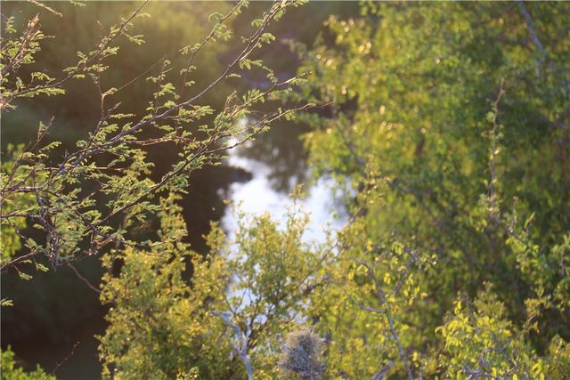 0 CR 20, Robstown, TX 78380