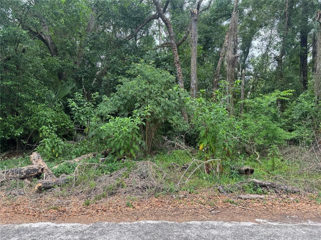 3638 E LEE DRIVE, Inverness, FL 34453