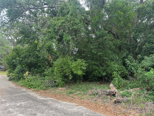 3638 E LEE DRIVE, Inverness, FL 34453