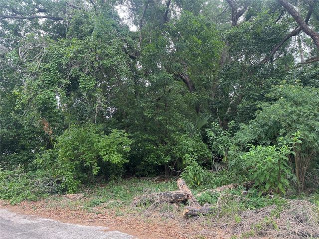 3638 E LEE DRIVE, Inverness, FL 34453