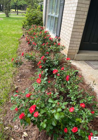 205 FREDERICK STREET, Bastrop, LA 71220