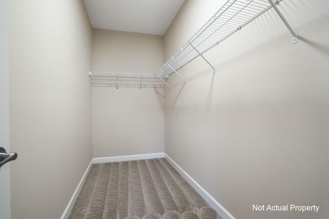 5167 Monterey Pine Lane, Dublin, OH 43016