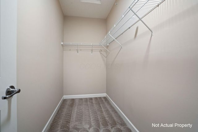 5167 Monterey Pine Lane, Dublin, OH 43016