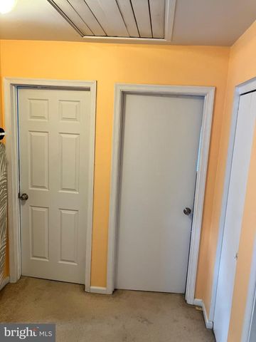 244 AUCKLAND DR, Newark, DE 19702