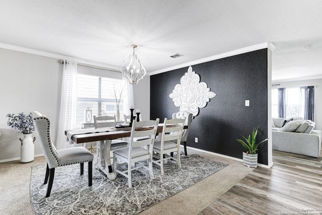 11006 FUNNY CIDE, San Antonio, TX 78245