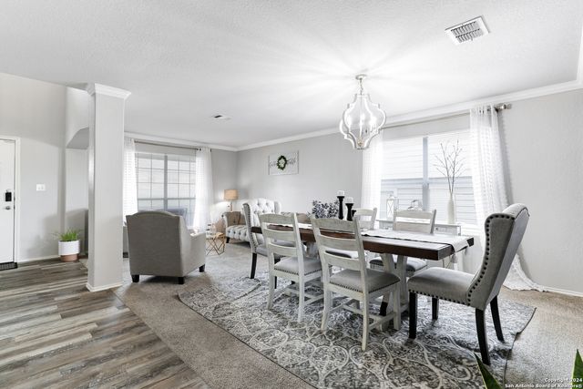 11006 FUNNY CIDE, San Antonio, TX 78245