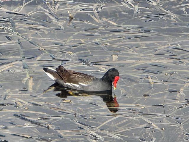 3371 NW 67th St, Fort Lauderdale, FL 33309