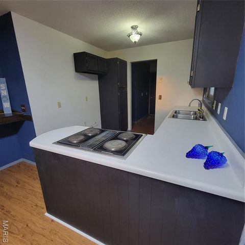 904 Springfield Road, Owensville, MO 65066