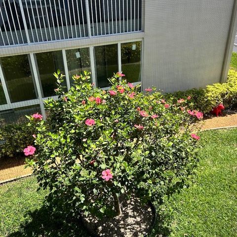 87 Piedmont B, Delray Beach, FL 33484