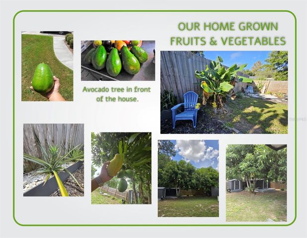 1050 BLACKWOOD STREET, Altamonte Springs, FL 32701