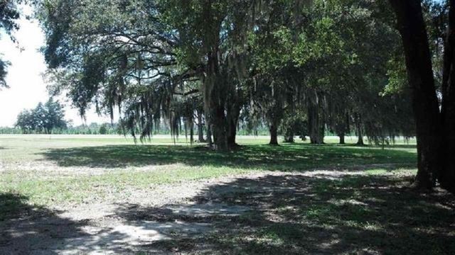 7070 S US HWY 19 Highway, Perry, FL 32348