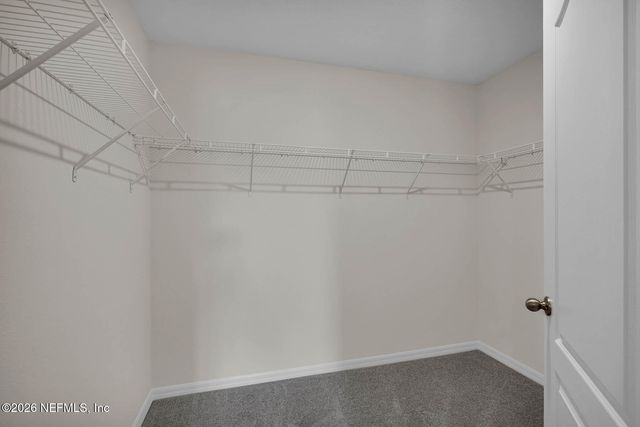 3188 LOWGAP Place, Green Cove Springs, FL 32043