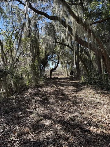 OCKLAWAHA DRIVE, Leesburg, FL 34788