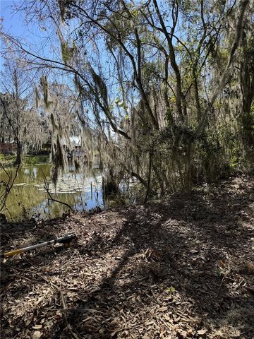 OCKLAWAHA DRIVE, Leesburg, FL 34788