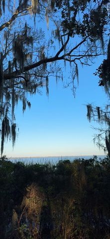 OCKLAWAHA DRIVE, Leesburg, FL 34788