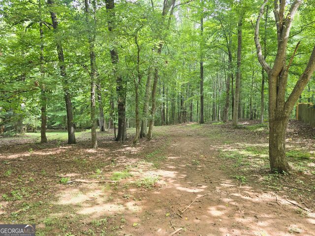 1231 Catalina Parkway, Mcdonough, GA 30252