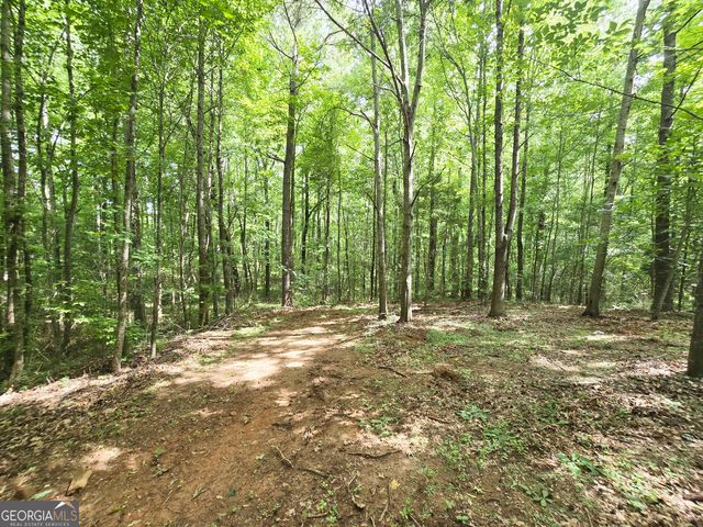 1231 Catalina Parkway, Mcdonough, GA 30252