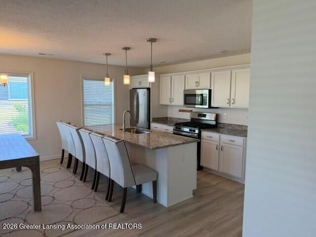 3954 Mustang Road, East Lansing, MI 48823