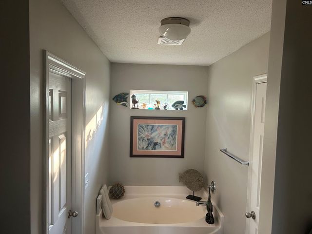 335 Indigo Springs Drive, Columbia, SC 29229