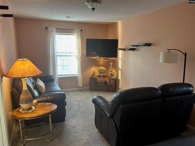 335 Indigo Springs Drive, Columbia, SC 29229