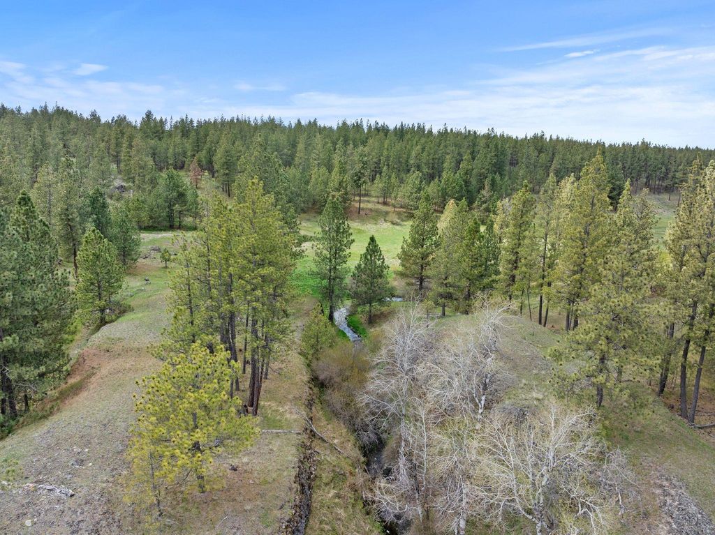 XXXXX Vacant Land, Rosalia, WA 99170 photo 11