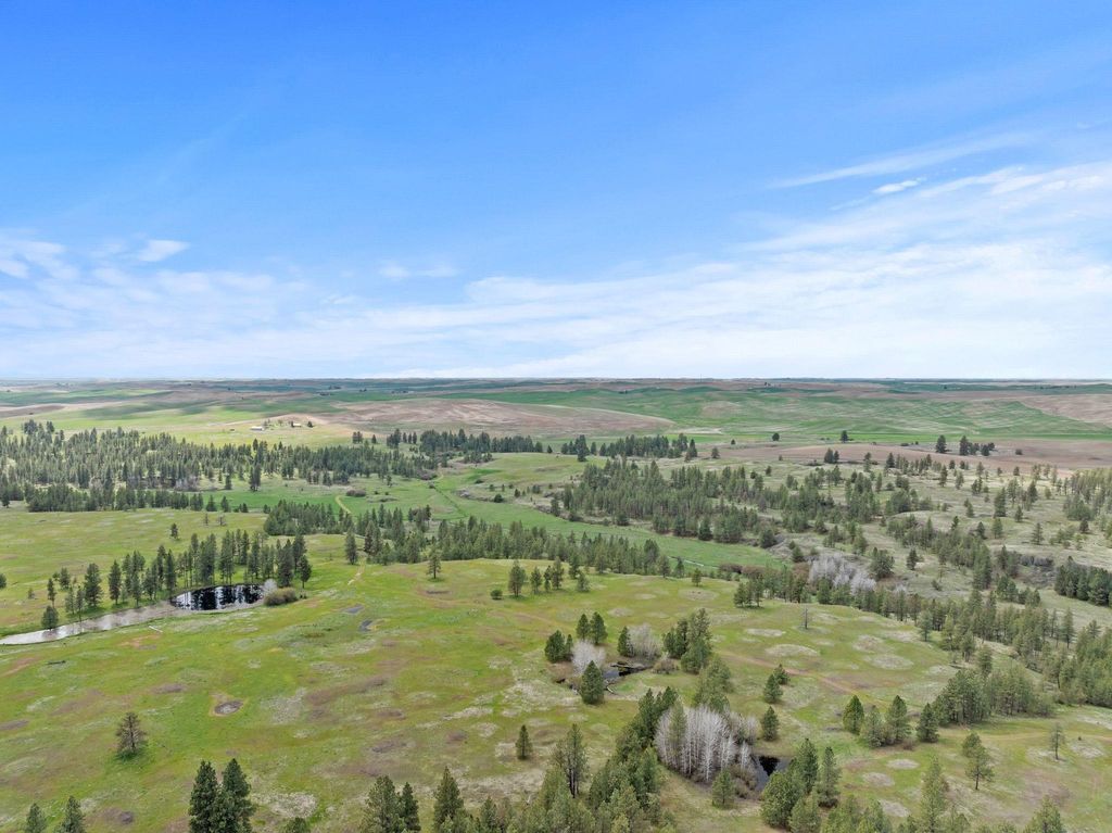 XXXXX Vacant Land, Rosalia, WA 99170 photo 7