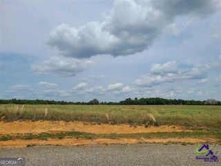 TRACT 13C Williams Circle, Elko, GA 31025
