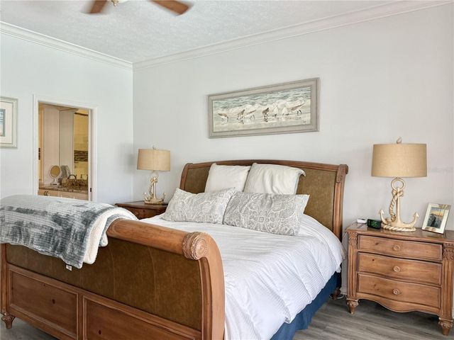 6326 N QUEENSWAY DR, Temple Terrace, FL 33617