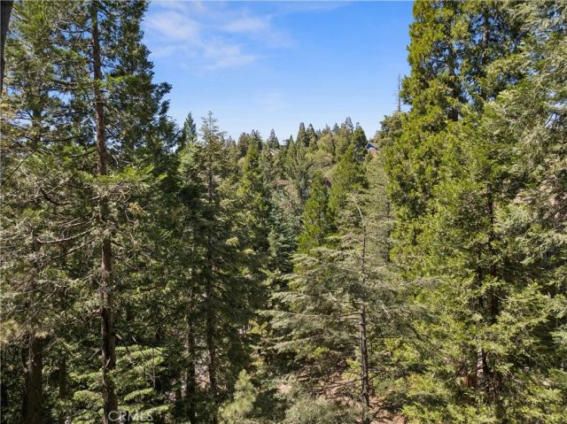 111 Grizzly, Lake Arrowhead, CA 92317