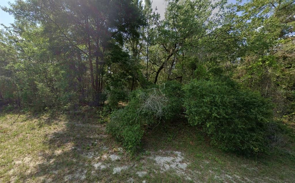 79TH TERRACE ROAD, Dunnellon, FL 34432